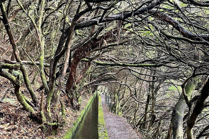PR6 & PR6.1 25 Fontes & Risco Levada Self-Guided Hiking Rabaçal - PR6 and PR6.1: what the five hours include