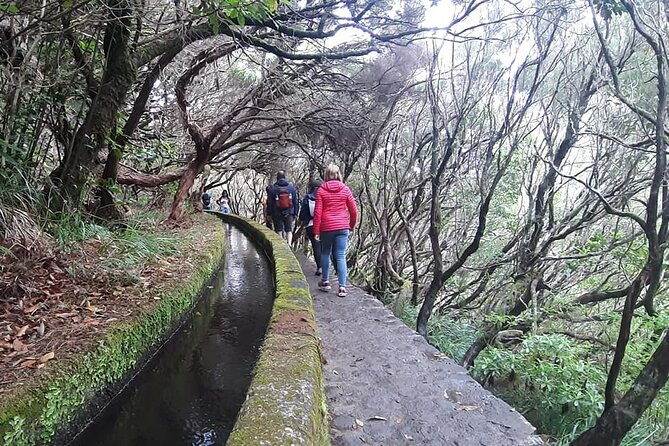 PR6 & PR6.1 25 Fontes & Risco Levada Self-Guided Hiking Rabaçal - Weather, footwear, and physical effort