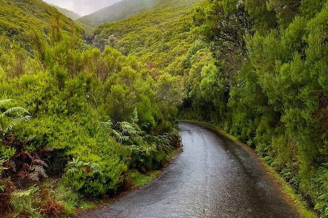 PR6 & PR6.1 25 Fontes & Risco Levada Self-Guided Hiking Rabaçal - Who will get the most from this tour