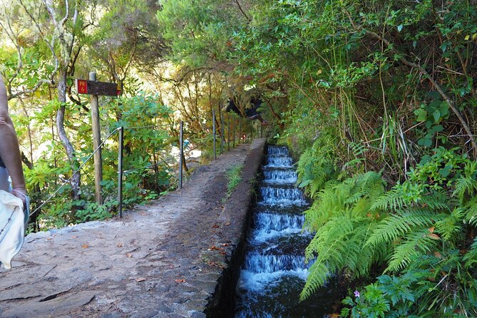 PR6 & PR6.1 25 Fontes & Risco Levada Self-Guided Hiking Rabaçal - Should you book the 25 Fontes and Risco transfer?