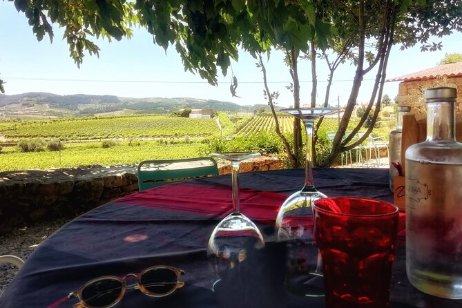 Premium Douro Valley Small-Group Tour, Wine Tasting, Lunch & Boat - Why this Douro day trip works