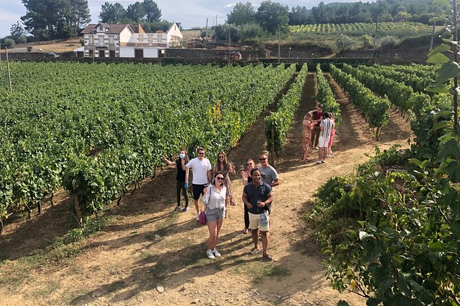Premium Douro Valley Small-Group Tour, Wine Tasting, Lunch & Boat - Quinta do Panascal and three Port tastings