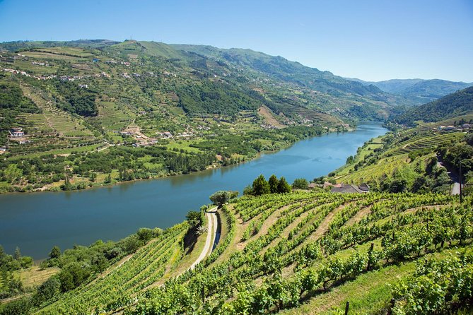 Premium Douro Valley Small-Group Tour, Wine Tasting, Lunch & Boat - Price, group size, and what you get