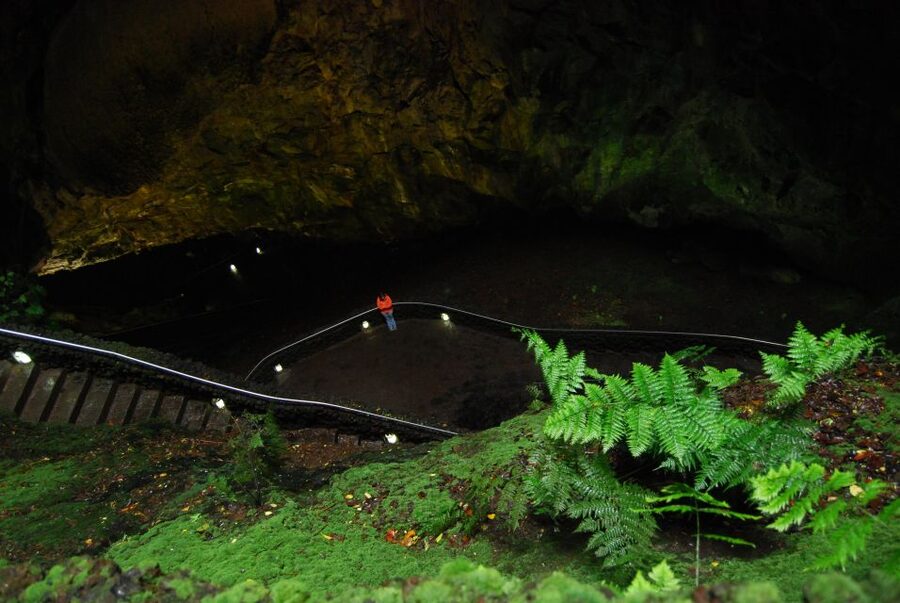 Private Caves tour with a Geologist - Furnas do Enxofre and the island’s heat below ground