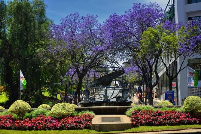Private Funchal City Tour by Tukxi - Pickup, cruise stops, and timing