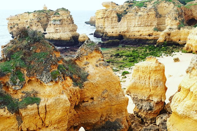 Private Guided Tuk-Tuk Tour with Pick-Up and Drop-Off of Albufeira - Who will enjoy this Albufeira tour most