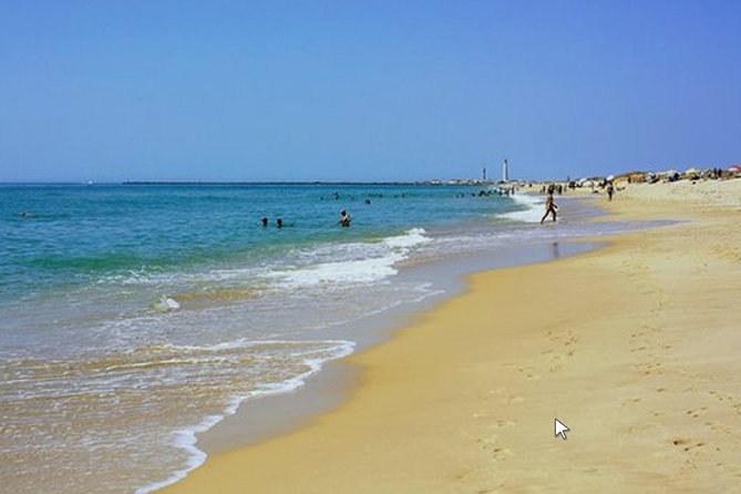Private Half-Day Boat Tour in Ria Formosa from Faro - Practical Ways to Improve Your Morning