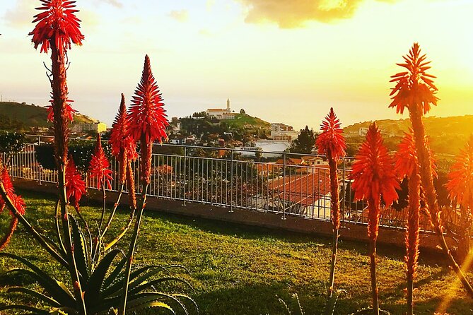 Private Half day tour around Madeira Island - Camara de Lobos and Churchill’s view
