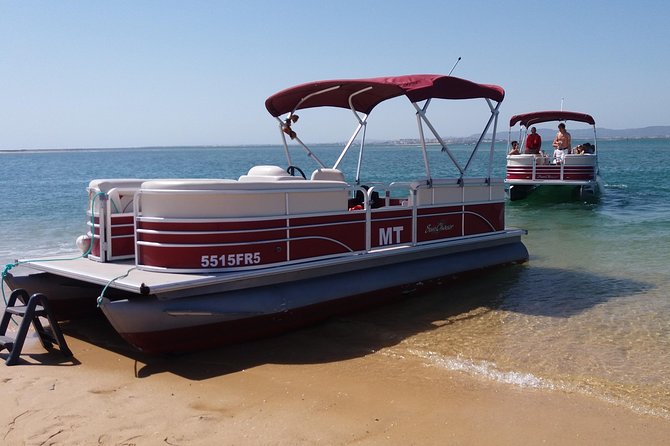 Private Ria Formosa Natural Park Boat Cruise from Faro - What the private format is worth
