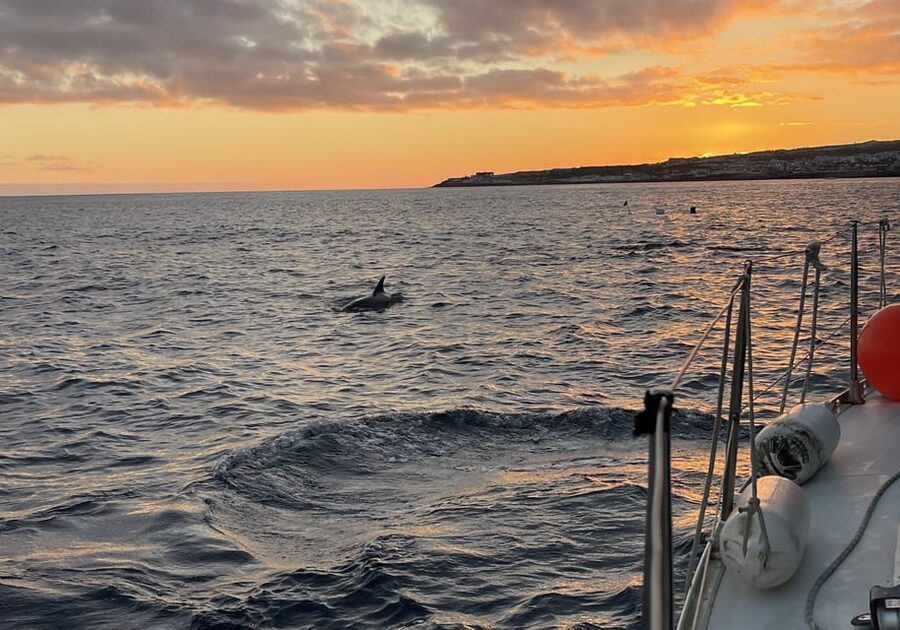 Private Sailing Sunset Tour PDL - What the private format is worth