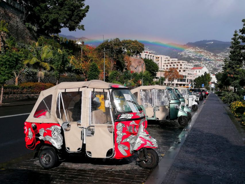 Private tour:Tuk Tuk Ride to Monte Funchal Toboggans - Key points to know before booking