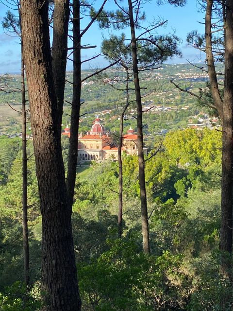 Private Tuk Tuk Tour around Sintra - Monserrate’s gardens and international style