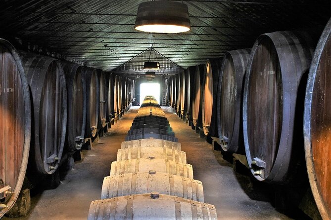 Private Wine Tasting in the Setúbal Wine Region, from Lisbon - Quinta do Alcube and the farming side of wine