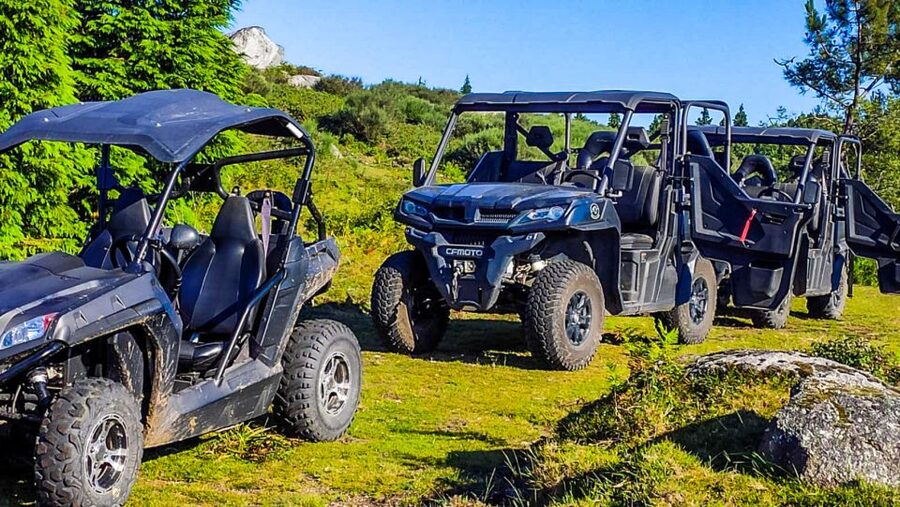 Prozelo: Buggy Tour - Safety, insurance, and physical demands