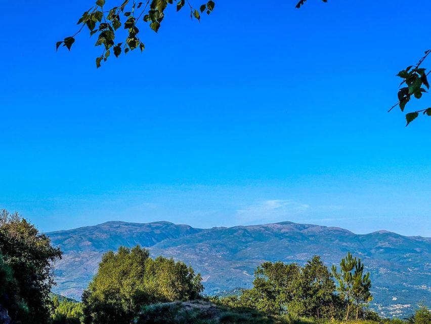 Prozelo: Buggy Tour - What the strong points tell you about the experience