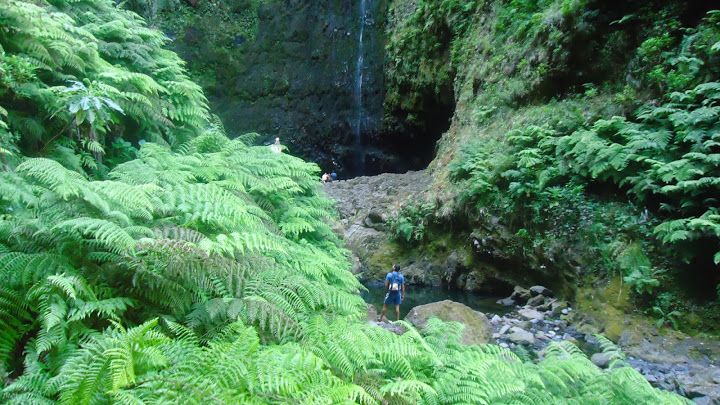 Queimadas Natural Park 5-Hour Guided Hike - Why Caldeirão Verde is such a good Madeira walk