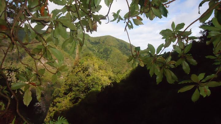 Queimadas Natural Park 5-Hour Guided Hike - The hand-cut tunnels require preparation