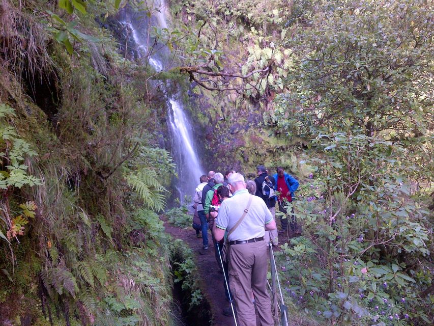 Queimadas Natural Park 5-Hour Guided Hike - Is $48 a fair price?