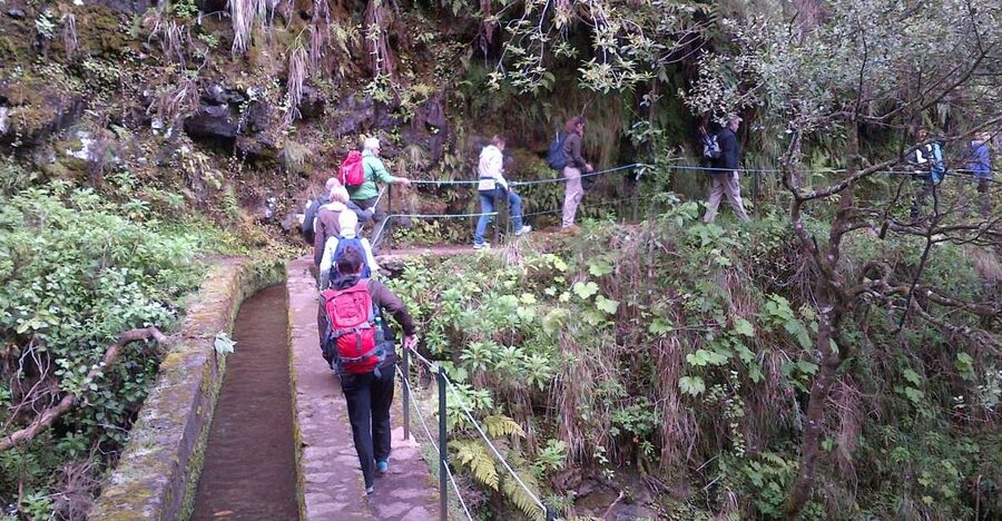 Queimadas Natural Park 5-Hour Guided Hike - From Funchal to the Queimadas forest