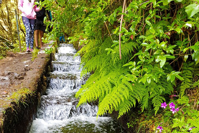 Rabaçal 25 Fontes Levada Walk in Small Groups - Why 25 Fontes is one of Madeira’s best guided walks