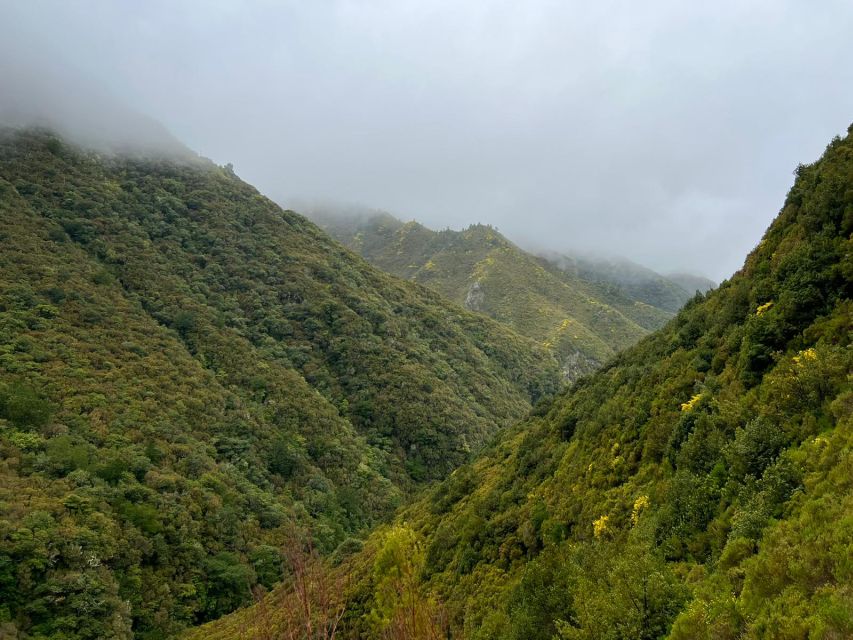 Rabaçal: 25 Fontes & Risco Levada Transfer Self-guided Hike - Key points to know before booking