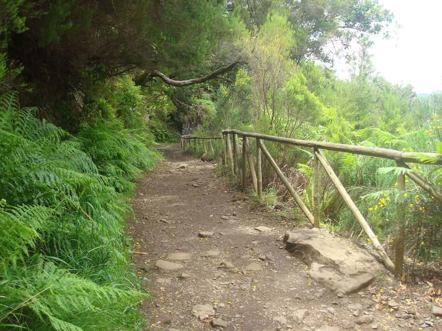 Rabaçal: 25 Fontes & Risco Levada Transfer Self-guided Hike - Who should choose this self-guided hike?