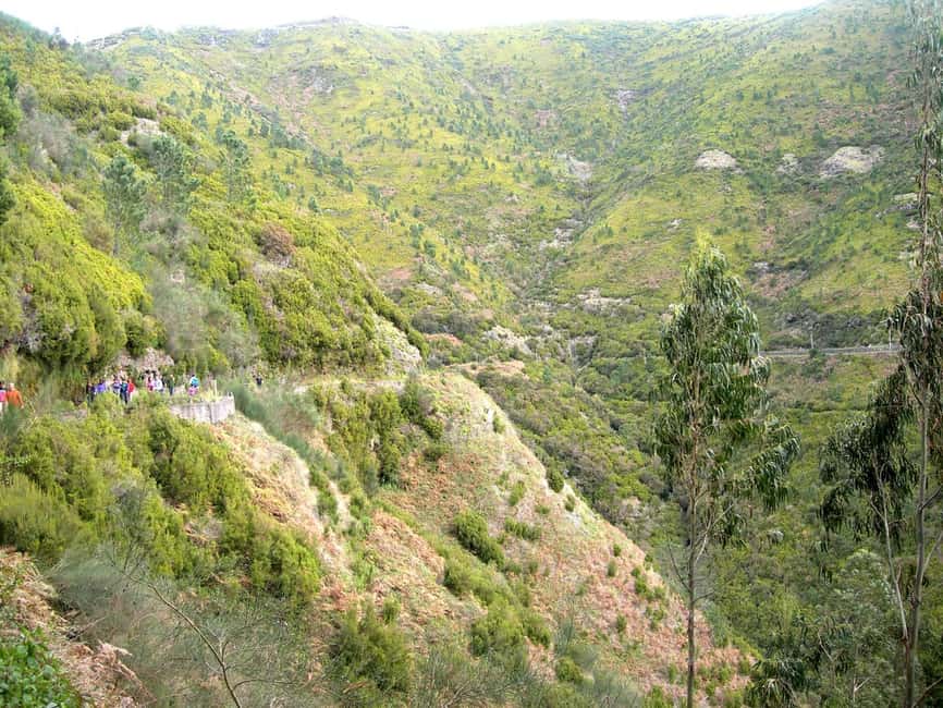Rabaçal: 25 Fontes & Risco Levada Transfer Self-guided Hike - Why the early start changes the walk