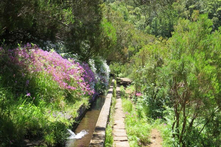 Rabaçal: 25 Fontes & Risco Levada Transfer Self-guided Hike - Why Risco should not be treated as an extra