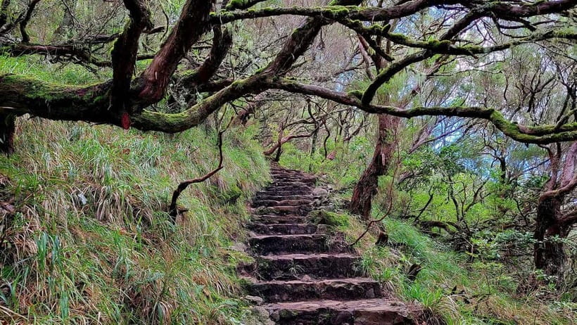 Rabaçal: 25 Fontes & Risco Levada Transfer Self-guided Hike - What to bring for Madeira’s quick weather changes