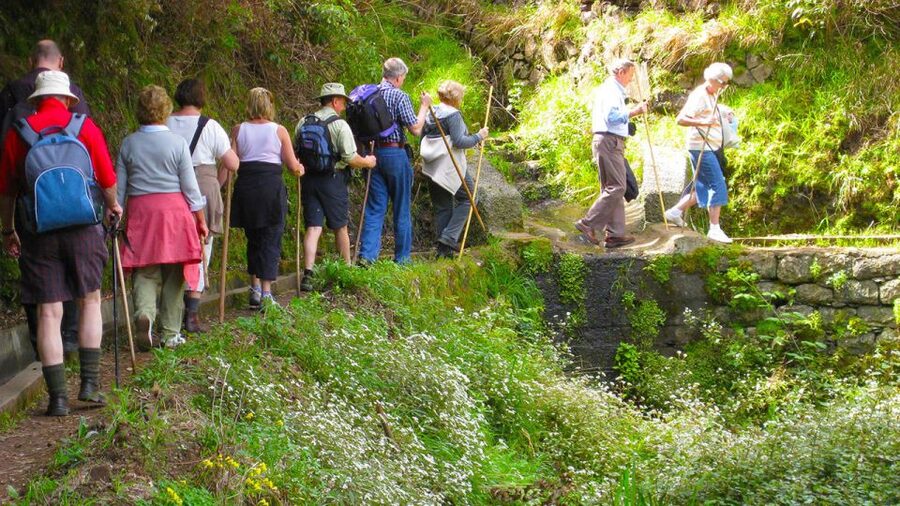 Referta / Castelejo - Levada Walk - Following the old water channel