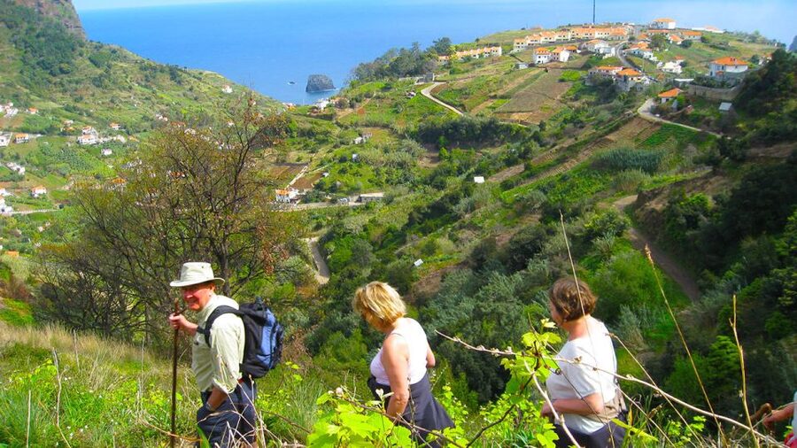 Referta / Castelejo - Levada Walk - The old mill and Madeira’s practical past
