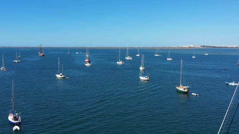 Ria Formosa: Armona and Culatra Islands 3-Hour Boat Tour - Culatra Island, a car-free community