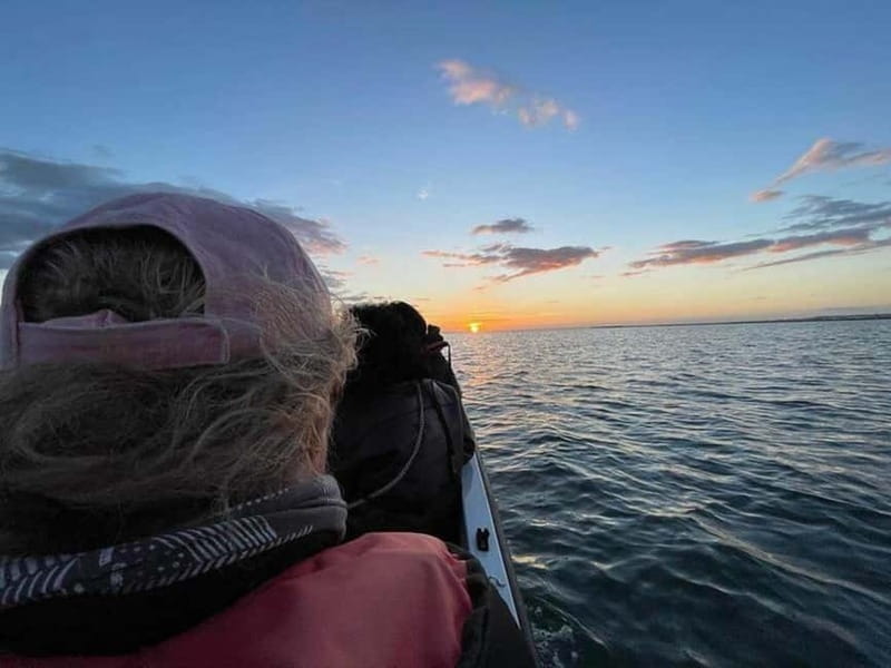 Ria Formosa: Armona and Culatra Islands 3-Hour Boat Tour - Armona Island for swimming and slow time