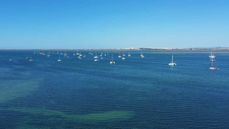 Ria Formosa: Armona and Culatra Islands 3-Hour Boat Tour - How much value do you get for $34?