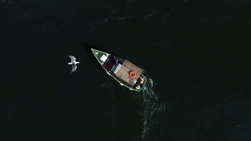 Ria Formosa: Armona and Culatra Islands 3-Hour Boat Tour - Timing, weather, and comfort