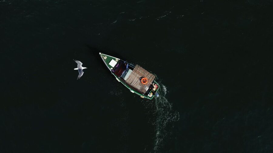 Ria Formosa: Armona and Culatra Islands 3-Hour Boat Tour - Who will enjoy this three-hour outing?