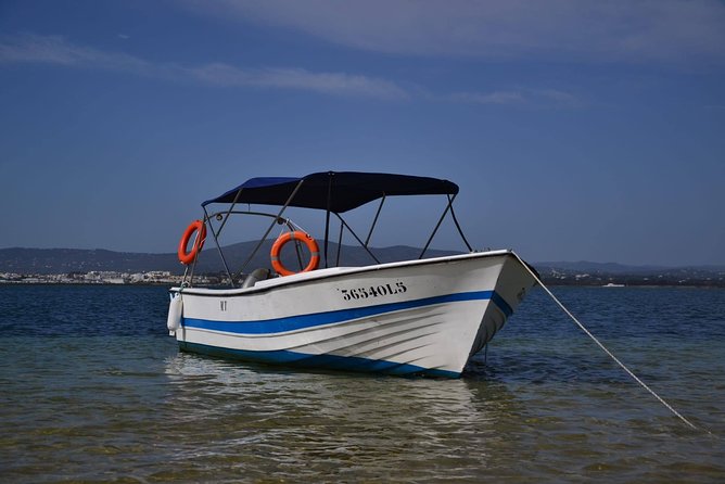 Ria Formosa - Boat trip to the 3 Islands: Armona | Culatra Island | Lighthouse - Culatra, fishing life, and a proper lunch break
