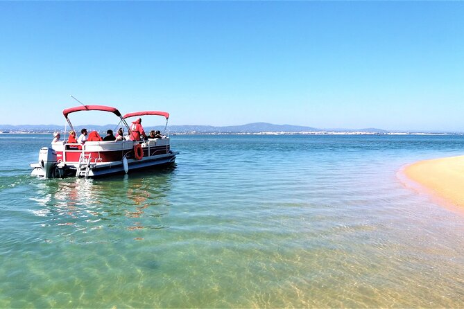Ria Formosa Natural Park and Islands Boat Cruise from Faro - Wildlife Along the Ria Formosa Channels