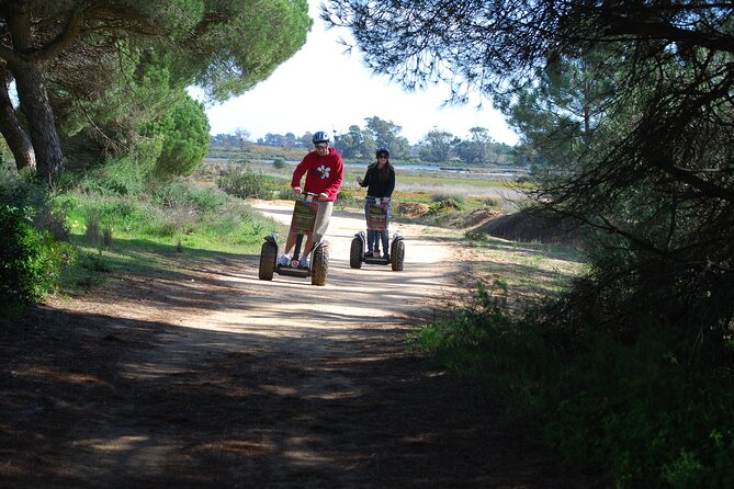 Ria Formosa Natural Park Birdwatching Segway Tour from Faro - Meeting near Faro Airport and getting started