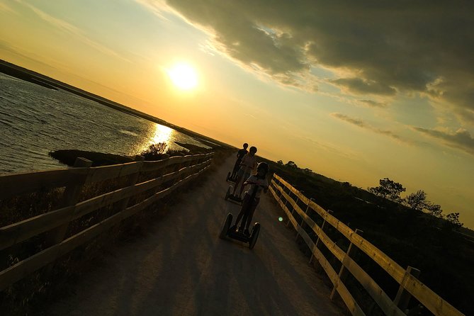 Ria Formosa Natural Park Birdwatching Segway Tour from Faro - Birdwatching at Ludo