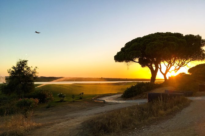Ria Formosa Natural Park Birdwatching Segway Tour from Faro - Quinta do Lago brings a very different view