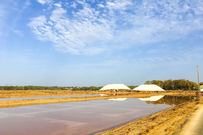 Ria Formosa Natural Park Birdwatching Segway Tour from Faro - Is $70.17 good value?
