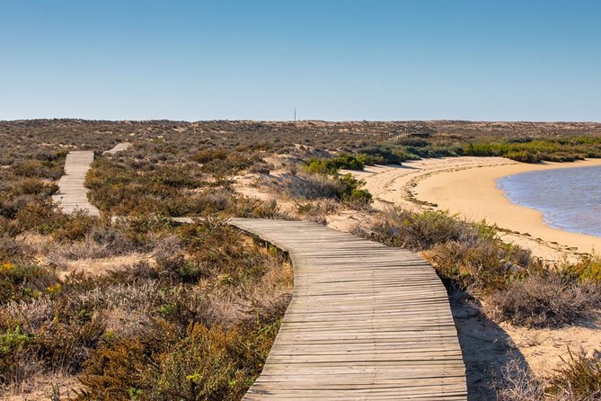 Ria Formosa: Private Boat Rental (from 2 to 8 hours) - Barreta Island and the open beach feel