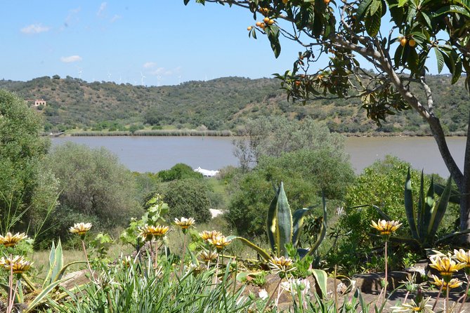 Rio Guadiana River Cruise - Quinta do Rio, pool time, and lunch