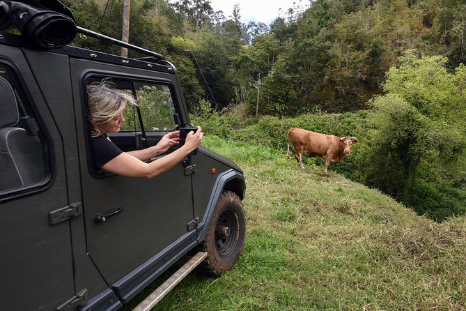 Safari 4x4 Pico Arieiro Santana in Small Group "FlowerEAST" - The seven-to-eight-hour schedule