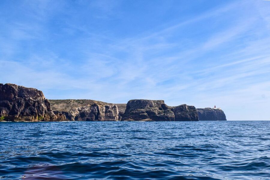 Sagres: Wildlife Tour Dolphins and Caves - Out on the Atlantic for two hours