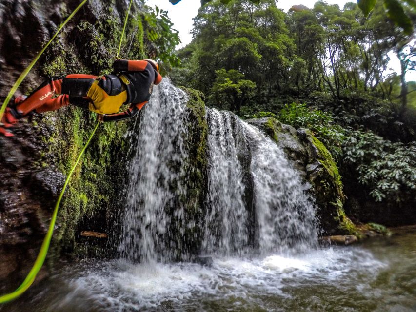 Sao Miguel: Caldeiroes Canyoning Experience - Who should book this São Miguel adventure