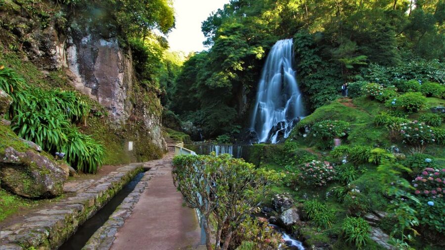 São Miguel East: Full-Day Van Tour with Lunch - Cozido lunch is the tour’s most authentic moment