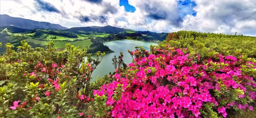 São Miguel: Furnas and Nordeste Full-Day Tour with Lunch - Furnas Lake and the science of cozido