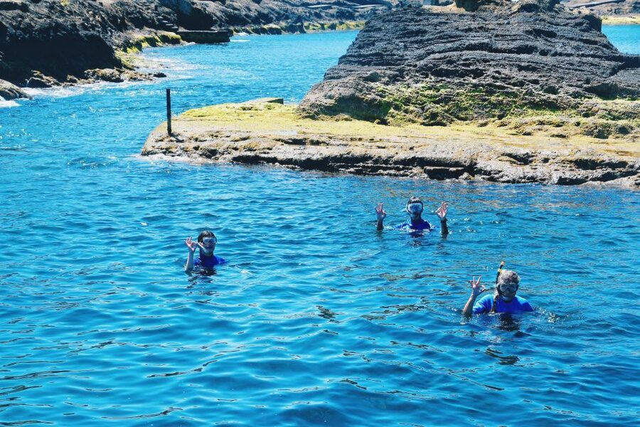 São Miguel: Glass Bottom Boat Tour with Snorkeling - Family, beginner, and solo appeal